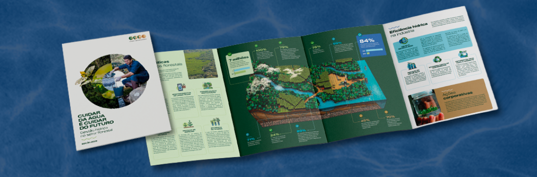 Infográfico Ibá 2026 - Dia Mundial da Agua