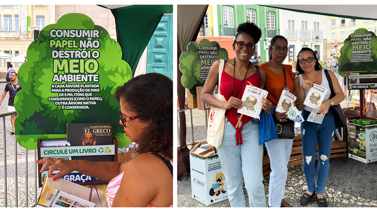 Fotos Flipelo Home
