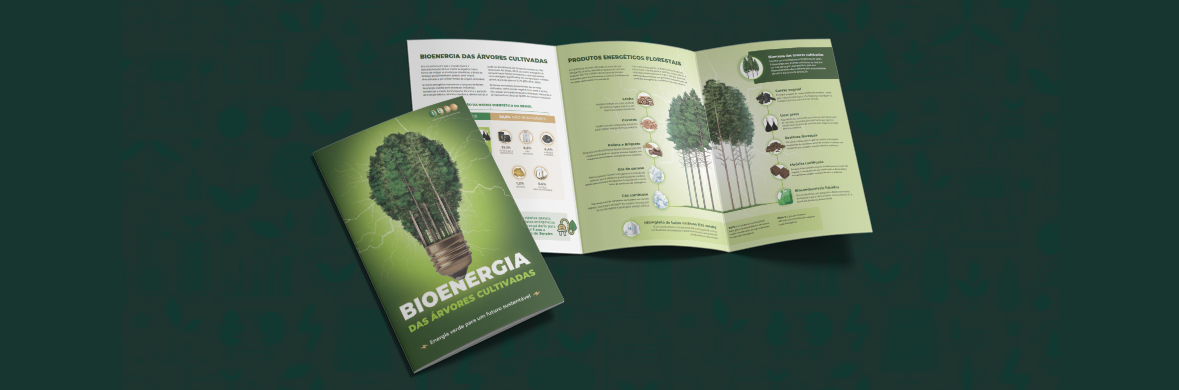 IBÁ_Bioenergia das árvores cultivadas