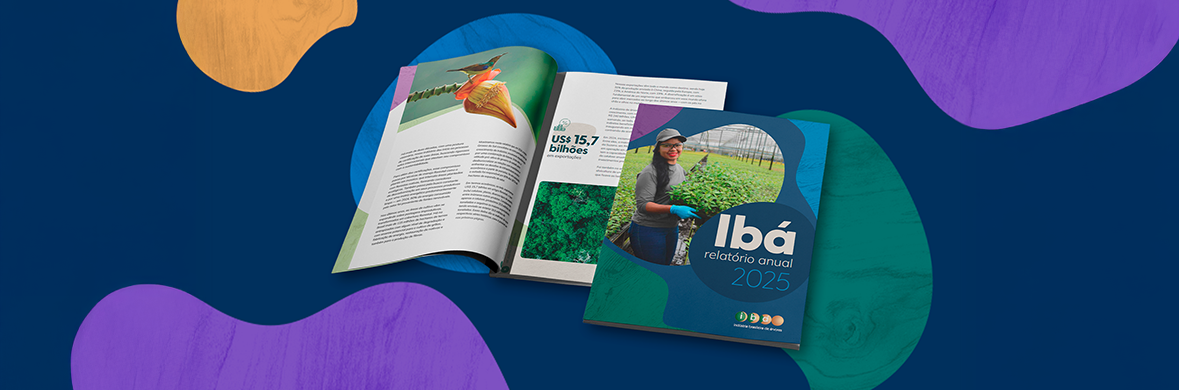 IBÁ relatório anual 2025