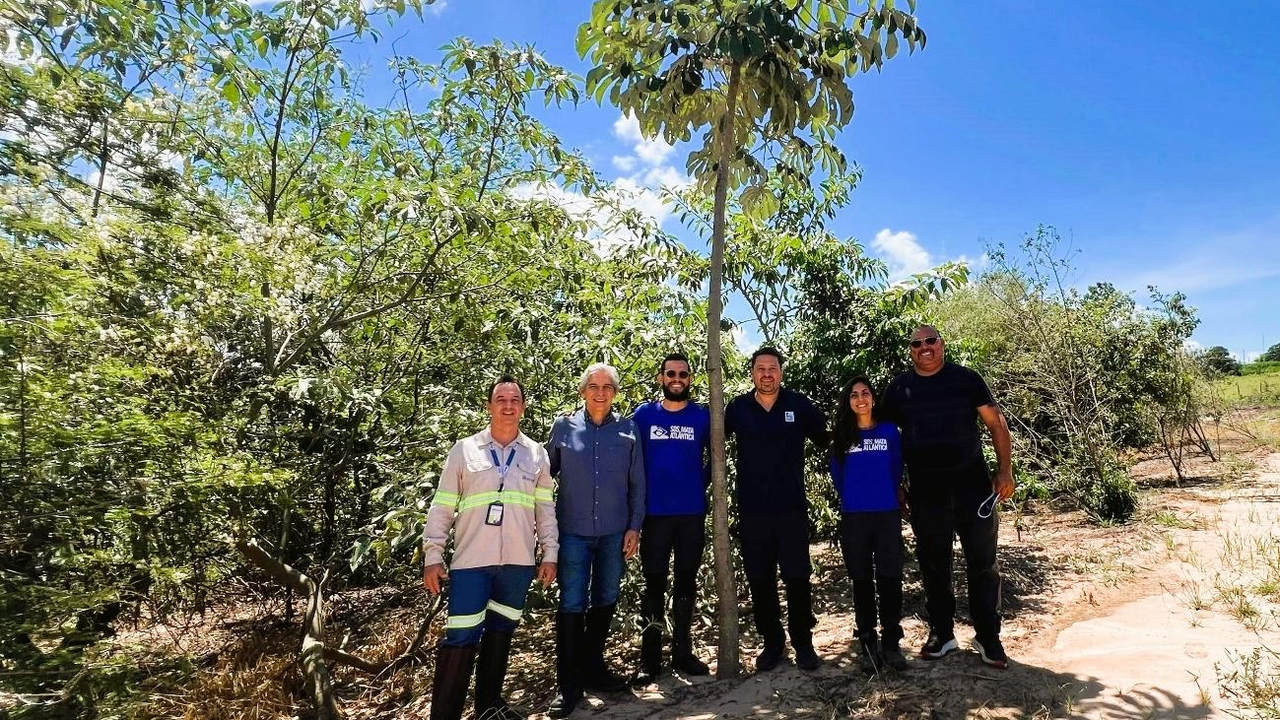 Parceria entre Bracell e SOS Mata Atlântica resulta no plantio de 61 mil árvores em São Paulo