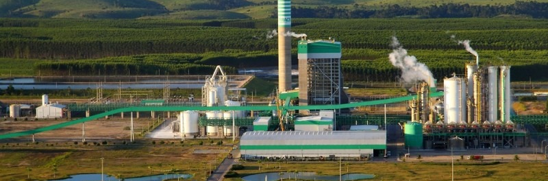 Imagem da Veracel generica