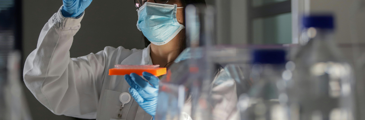 Pesquisadora no Complexo de Proteção Florestal da Bracell em Alagoinhas (2) (1)