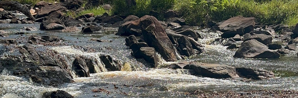 Rio Subaúma - Foto -Gleison Rezende -Acervo Bracell