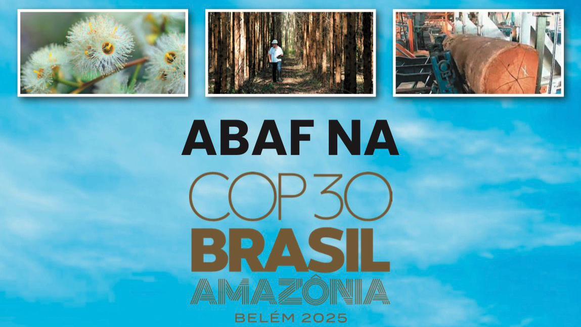 Abaf na COP30