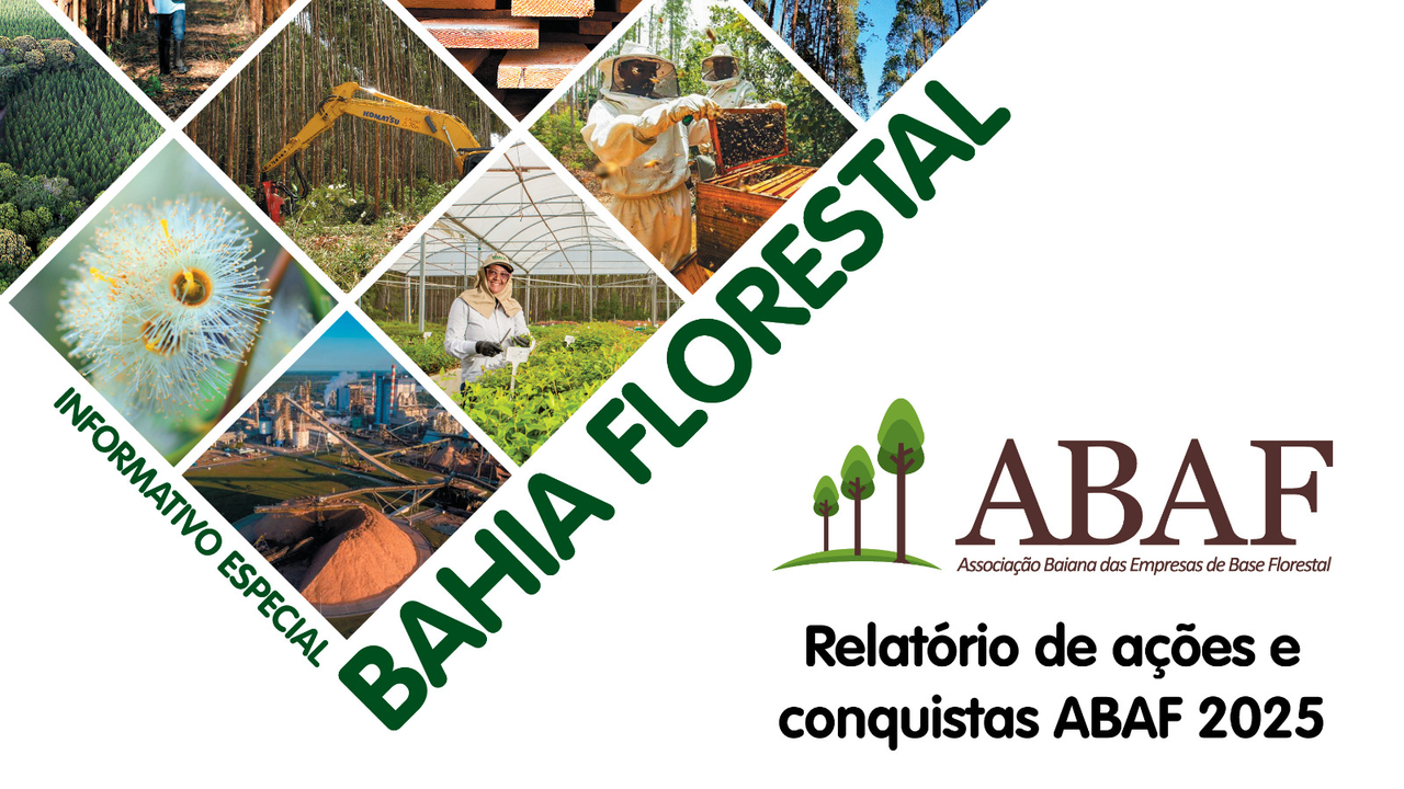 Bahia Florestal Especial - Relatório de Ações ABAF 2025