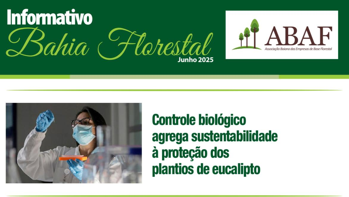 Informativo ABAF - Bahia Florestal (junho 2025)