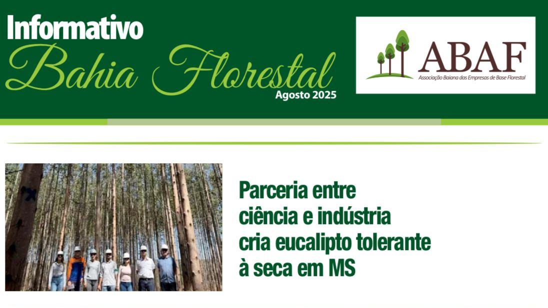 Informativo ABAF - Bahia Florestal (agosto 2025)