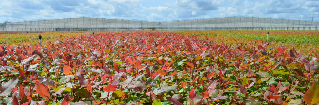 WhatsApp Image 2026-03-23 at 11.05.45 AM