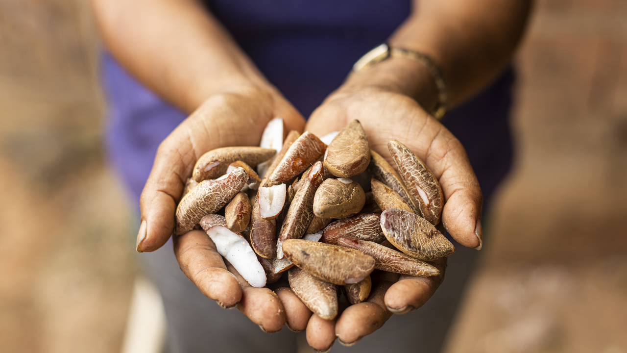 legenda - divulgação Suzano