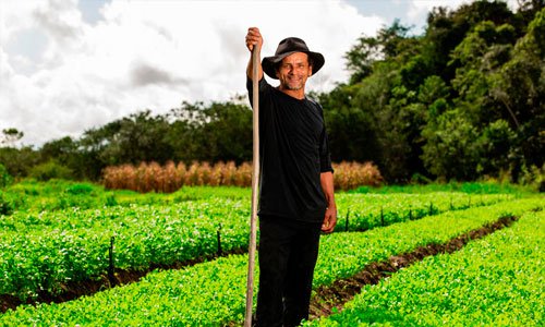 Veracel inicia a construção de uma plataforma de Agricultura Familiar para associações do Sul da Bahia 