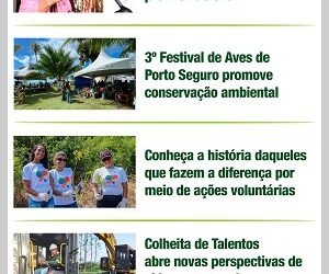 Informativo ABAF – Bahia Florestal (agosto 2023)