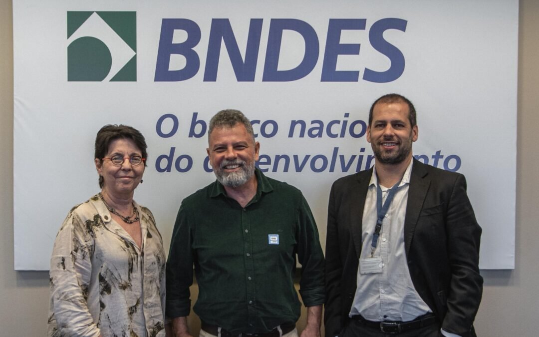 BNDES e gestora de fundos de reflorestamento iNovaLand investem na Mata Atlântica