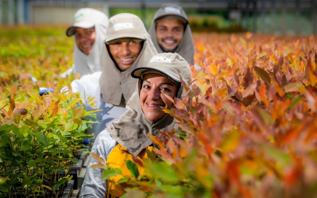 ABAF apresenta a sustentabilidade da silvicultura na e-Agro 2023