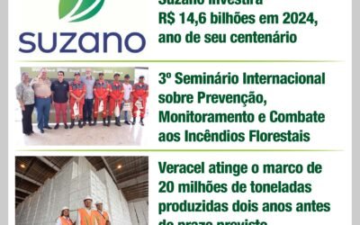 Informativo ABAF – Bahia Florestal (dez 2023)